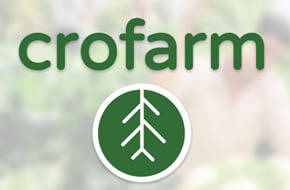 $partnerss->name
